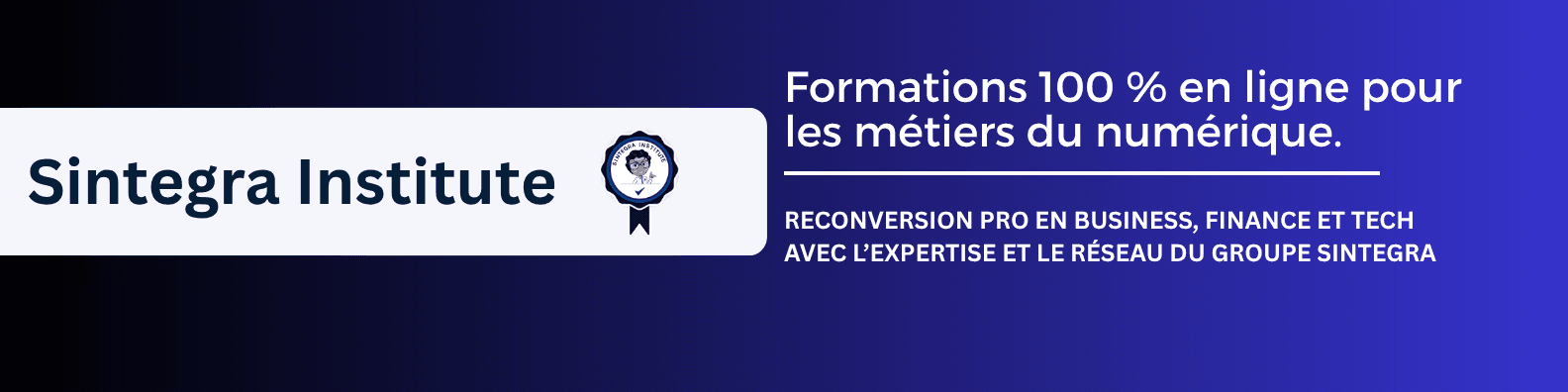 Sintegra Institute cover